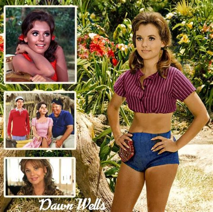 Dawn Wells – Celebsgraphy