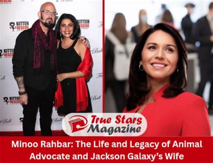 Minoo Rahbar Wiki-Biography: 7 Facts about Jackson Galaxy’s wife. 2022