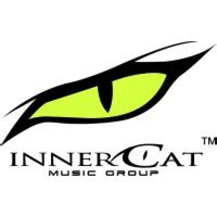 Similar Youtubers to InnerCat Music Group