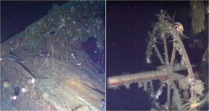 The Shipwreck Of Dmitrii Donskoi And The 200 Tons Of Gold Its Said To Contain