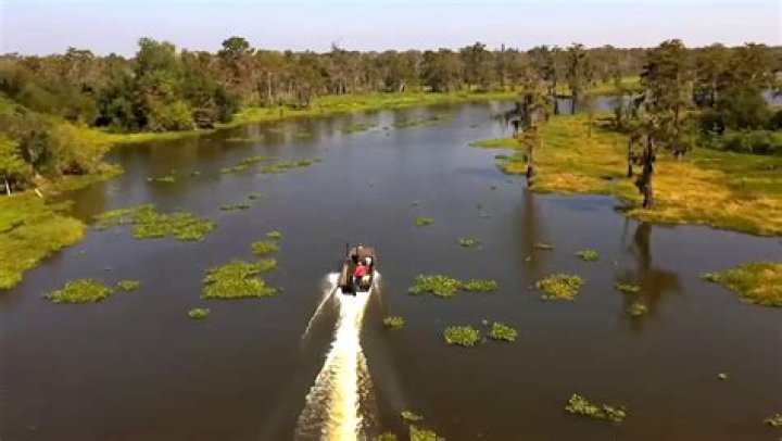 Who won the 350 tags on Swamp People 2023?