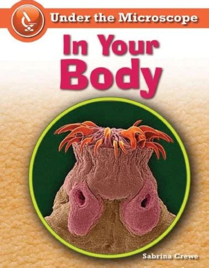 Your Body Under The Microscope